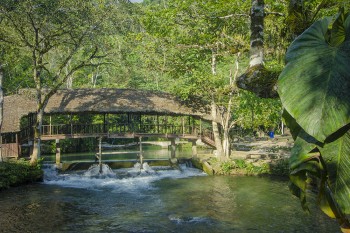 Alto Mayo: Rioja y Moyobamba
