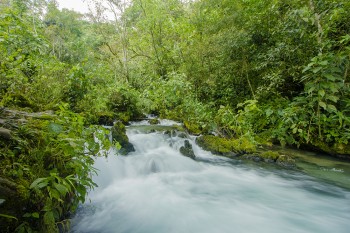 Alto Mayo: Rioja y Moyobamba