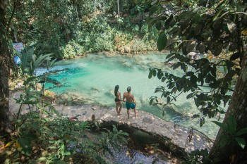 Alto Mayo: Rioja y Moyobamba