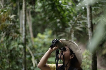 Selvas y cascadas de Pucayaquillo