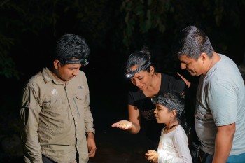 La selva de noche: Excursión nocturna