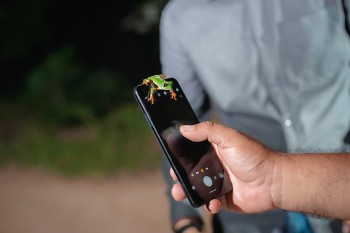 La selva de noche: Excursión nocturna